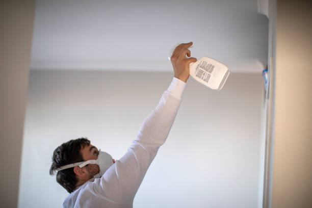 Best Commercial Mold Removal  in Brandon, MS