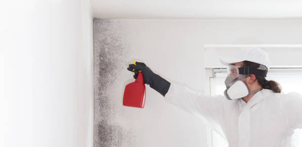 Best Crawl Space Mold Removal  in Brandon, MS